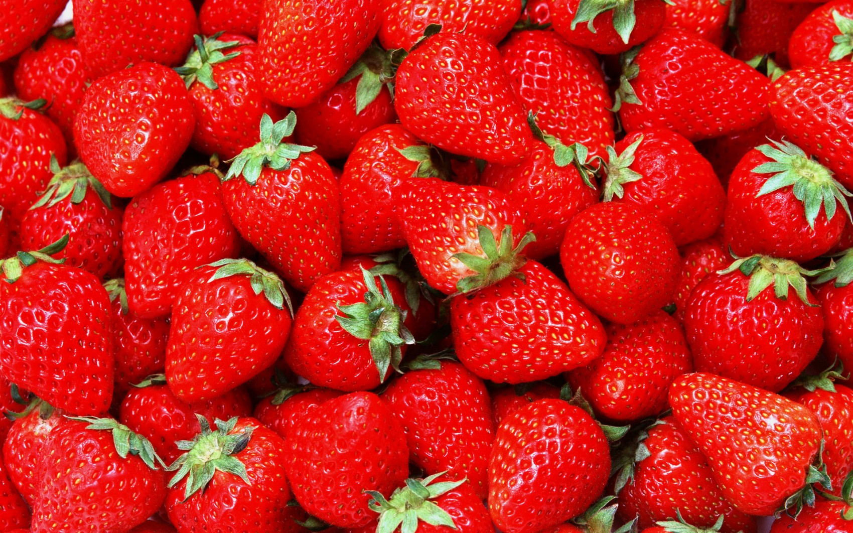 Inikah Kebun Strawberry yang Anda Inginkan?
